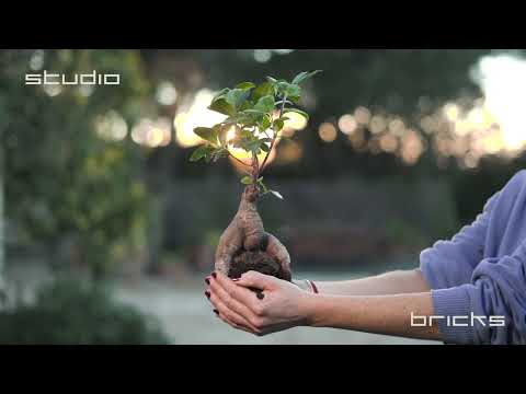 Studiobricks: Quality & Sustainability at the Core of Our Soundproof Solutions