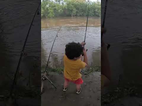 Pesca de Dorados y Bagres en el río gastona. Atahona, Tucumán. #pesca #pez #rio #dorados #argentina