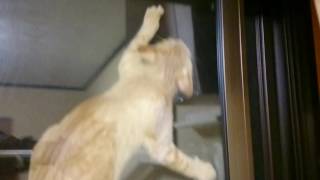 まさか こんなとこ行くとは! ユウスケ