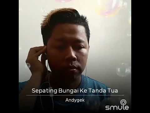 Andrewson Ngalai- sepating bungai ke tanda tua-cover by Andygek Andy