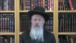 הרב אברהם יוסף שליט"א שואלים בהלכות הפסח קודם הפסח שלושים יום