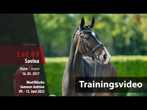 Sommer-Auktion Training Lot 9 Savina Stute v. Sir Heinrich - Florestan I