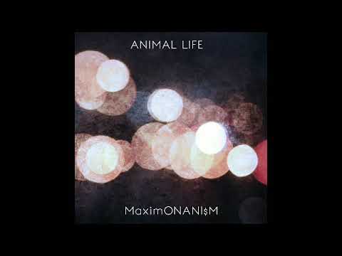 Максим Онанизм – Animal Life
