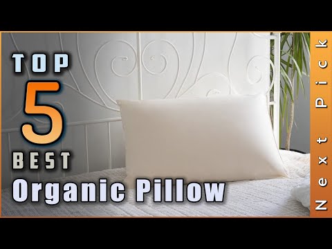 5 Best Organics Pillow in 2024 | Review and Buying Guide