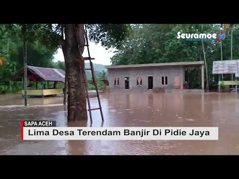 VIDEO - Lima Desa Tergenang Banjir Di Pidie Jaya