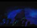 downy - 漸 zen Live 