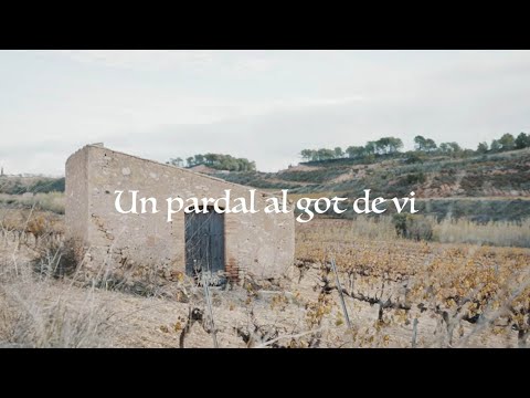 El Pony Pisador - Un pardal al got de vi