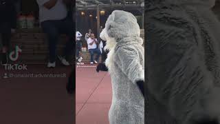 Meeko #pocahontas #dance #disneycharacters #parade #magickingdom #disney #meeko