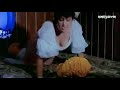 Hemamalini Fast Time Nip Slip