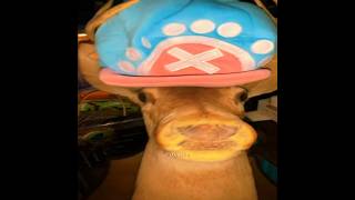 Cover art for Sir get down!!