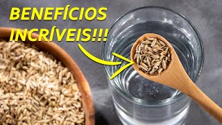 POR QUE VOCÊ DEVE COMEÇAR A TOMAR CHÁ DE FUNCHO TODOS OS DIAS