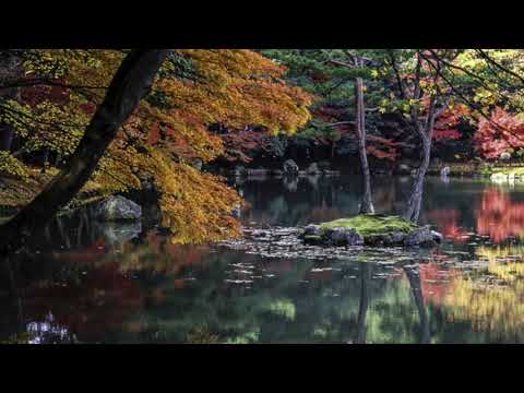 "Postcards" 葉書 (Full Album) - Japanese Ambient Music | Music for meditation, study, chill, spa