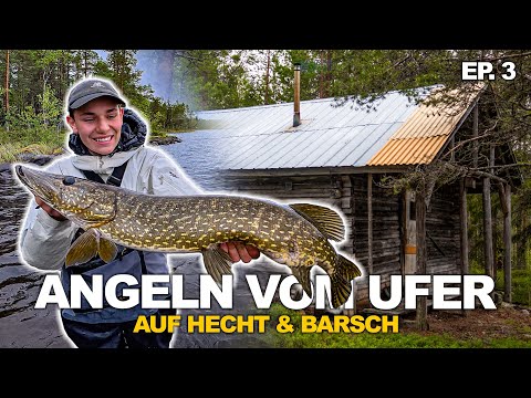 Catching perch and pike from the shore in Sweden - Ep. 3