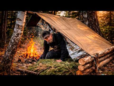 Bushcraft Skills: Staying Warm in the Wild | Shelter, Fire & Simple Tricks