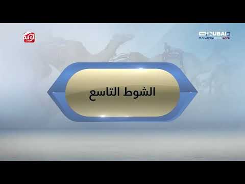  ملخص السباق , مهرجان ولي عهد دبي 2026/01/13 ثنايا المرموم  