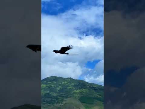 CONCHÁN- CHOTA - CAJAMARCA 💚#nature #beautiful