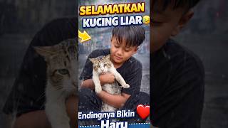 Download lagu SELAMATKAN KUCING LIAR, ENDINGNYA BIKIN HARU 😭❤️ #masukberanda #shortvideo #viral #trending #funny mp3
