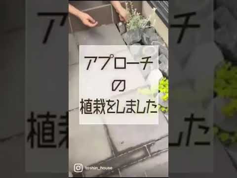 jardin en pente terrassement-muret-pierre-herbe-Japon