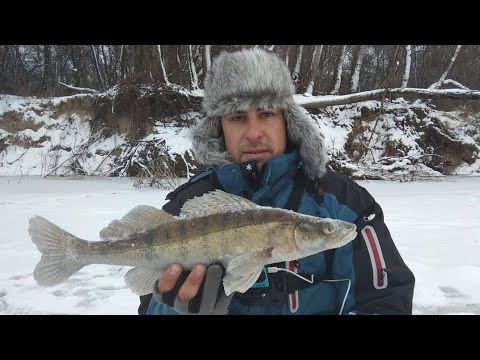 СУДАК НА БАЛАНСИР. Зимняя рыбалка. Ловля судака зимой