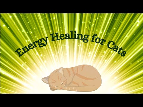 Energy Healing for Cats ~ Distance Animal Reiki with Nature Sounds