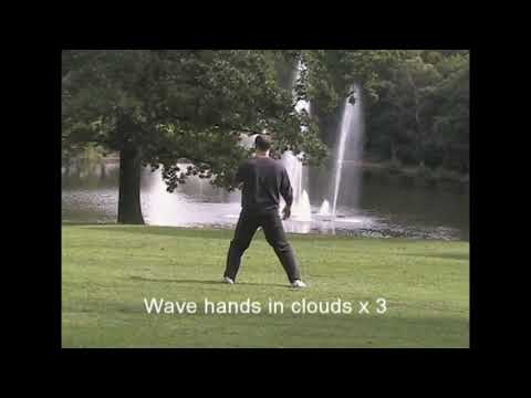 Tai Chi Chuan: The Cheng Man Ching Form - with Colin Hamilton