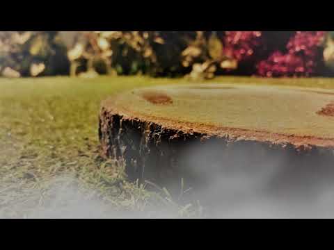 Szlak Nieumarłych - Escape Room Gliwice