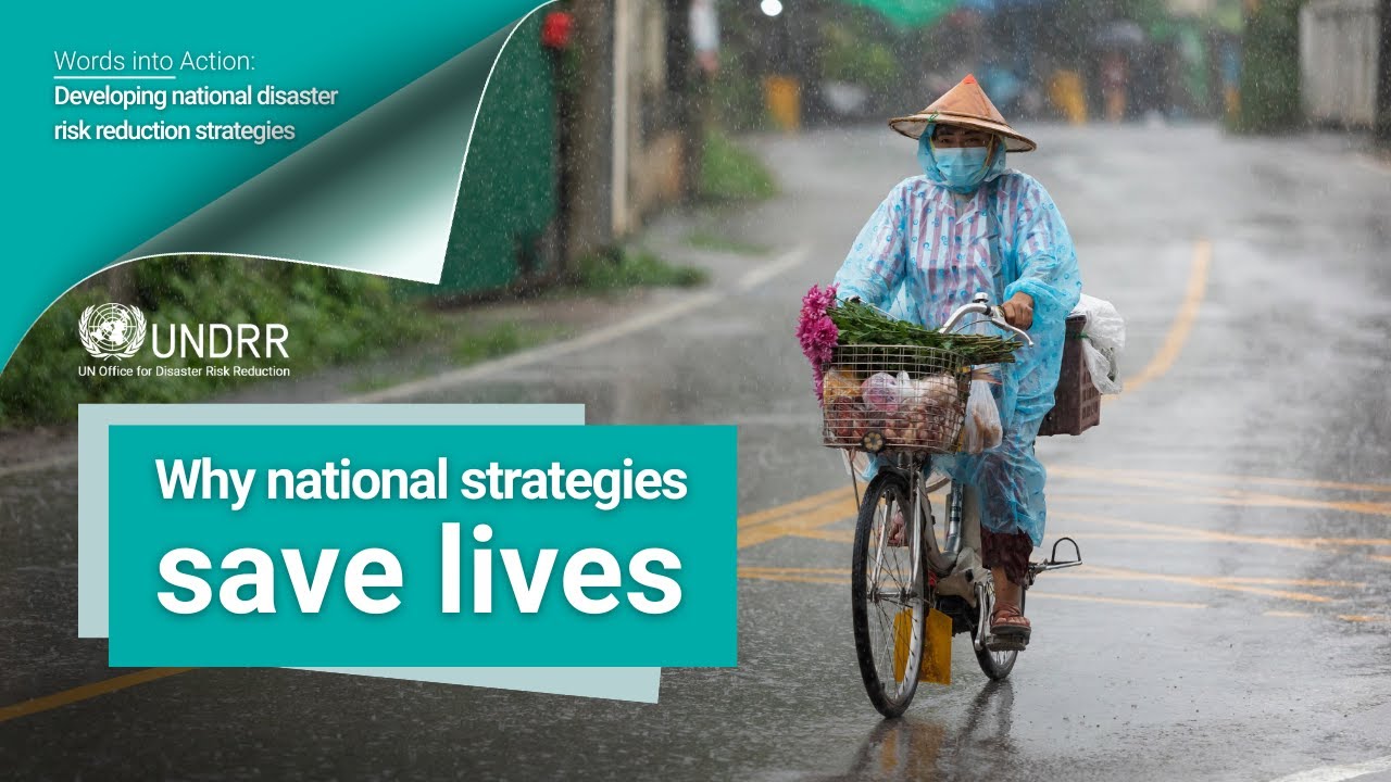 Words into Action: Developing national disaster risk reduction strategies | UNDRR