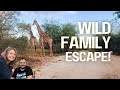 We Drove 7 Hours to Marloth Park (Is it Worth the Hype?) DEFAULT Thumbnail