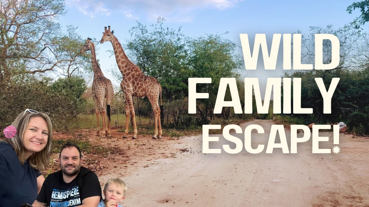 We Drove 7 Hours to Marloth Park (Is it Worth the Hype?)