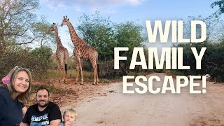 We Drove 7 Hours to Marloth Park (Is it Worth the Hype?) MQDEFAULT Thumbnail