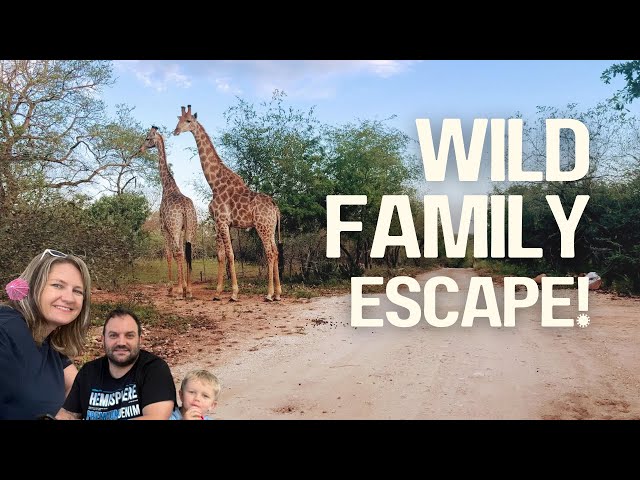 We Drove 7 Hours to Marloth Park (Is it Worth the Hype?) SDDEFAULT Thumbnail
