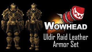 Uldir Raid Leather Armor Set