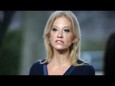 Kellyanne Conways Partner
