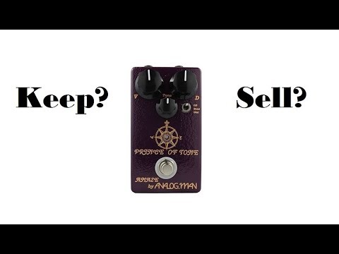 Keep or Sell? Analogman Prince of Tone