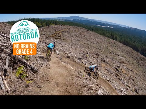 Ride It While It's Fresh! - No Brains, Rotorua