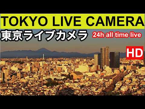 Mount Fuji from Tokyo live camera