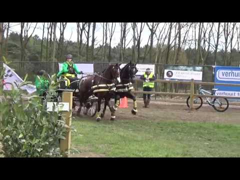 Cai 3 Horst 2017 Obstacel 7 Martin Hölle