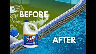 Easy and Affordable way to kill algae and clean your pool with bleach! BESTWAY ABOVE GROUND POOL