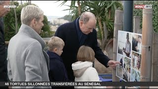 Environnement et international : 46 tortues sillonnées transférées au Sénégal