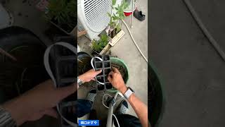 ベランダで米の苗を作る方法と節約術