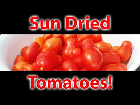 Solutions To Blossom End Rot In Tomatoes etc