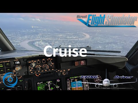 PMDG 737-700 for MSFS - Tutorial 10: Cruise