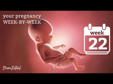 22 Weeks Pregnant - Natural Pregnancy Week-By-Week