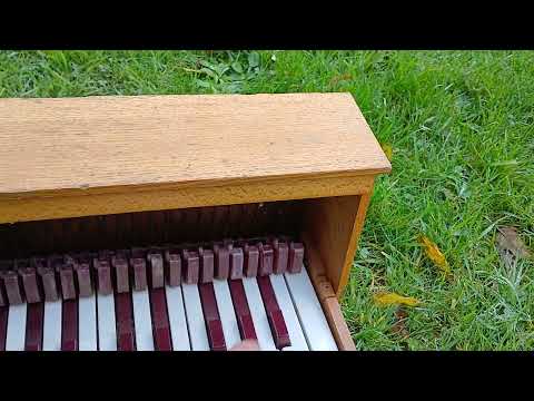 chromatic toy piano Michelsonne Paris 20 keys image 4