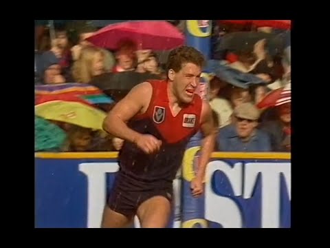 Greg Healy - Melbourne - 2 goals v Collingwood - 1989 Elimination Final - VFL Park - AFL