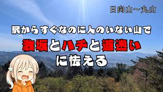 【登山】激坂がきつすぎる山で孤独ハイキング【VOICEVOX実況】