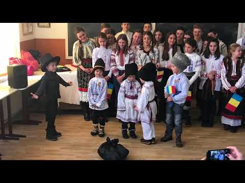 Liceul Tehnologic, comuna Petricani - Centenar Marea Unire