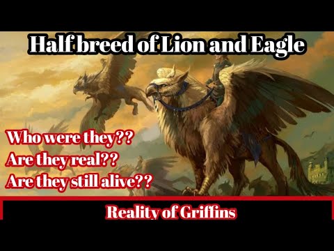 Reality of Griffins