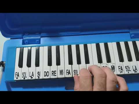 NONA SINFONIA DE BEETHOVEN NA ESCALETA.