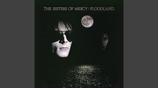 Driven Like the Snow (Vinyl Version) (New Version for Digital)